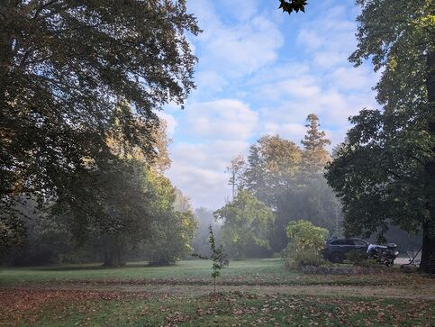 Park des Linuxhotels im Morgennebel