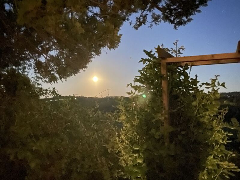 Datei:Communitytreffen 25 Mond.jpg